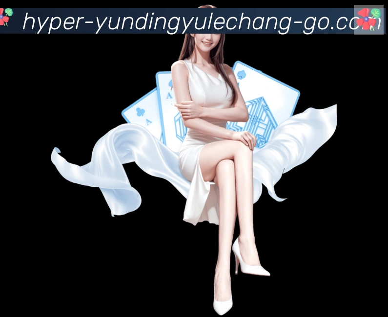 互动解说服务